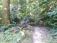 IMG_20200807_090949