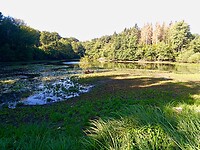 IMG_20200807_091605