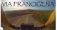 Francigena