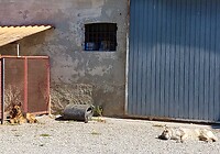 20210710_102354 (1)