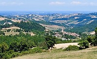 20210710_134526 (2)