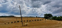 20210718_115527 (1)