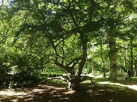 IMG_20190512_142652