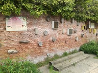 IMG_20190512_115314