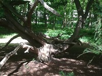 IMG_20190512_143209