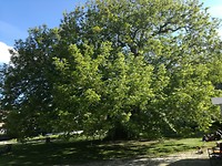 IMG_20190513_093231