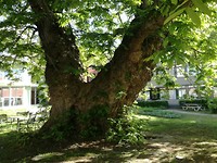 IMG_20190513_093154
