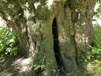IMG_20190513_093042