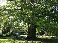 IMG_20190513_093004