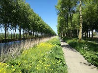 IMG_20190513_152114