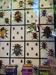 IMG_20190514_154623