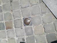 IMG_20190514_143106