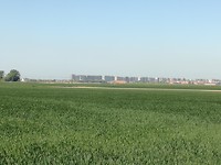 Kustlijn Oostende