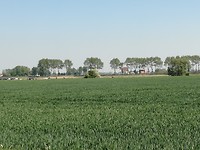 oude trambaan naar Diksmuide