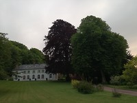 Beuken in dezelfde tuin St Vallery s Somme