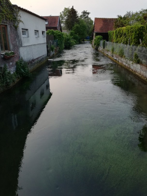 Beek in Arques la Bataille