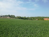 Omgeving EU