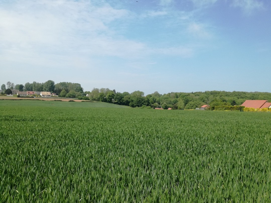 Omgeving EU