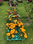 Bloemenmarkt Sees