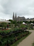Bloemenmarkt Sees