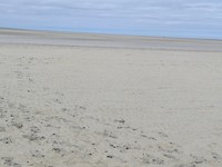 Droog gevallen baai mt st Michel