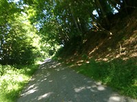 Langs de voie verte