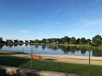 Meertje achter La maison du Triskel