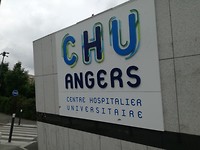 Het ziekenhuis uit 2014 Angers