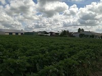 Eerste grootschalig gebruik in Frankrijk op mijn tocht