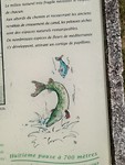 Tekst over Canal Marans a La Rochelle