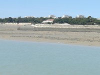 Laag water in de haven