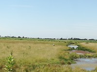 Een ooievaar in natuurgebied Hiers