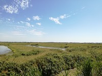 natuur gebied bij Hiers
