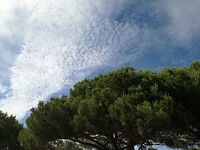 Mooie wolken boven de baai Arcachon