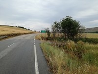IMG_20190709_112221