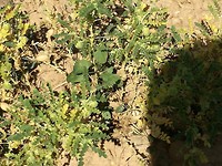 IMG_20190716_134643