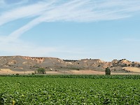 IMG_20190716_142210