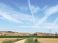 IMG_20190716_141426