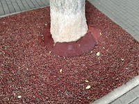 IMG_20190716_195936