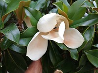 IMG_20190716_195836