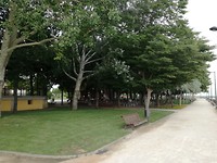 IMG_20190716_194751