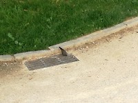 IMG_20190716_194600