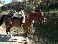 Pelgrimspaard Rabanal del Camino