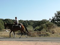 Pelgrim te paard Rabanal del Camino