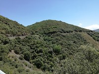 IMG_20190717_143744