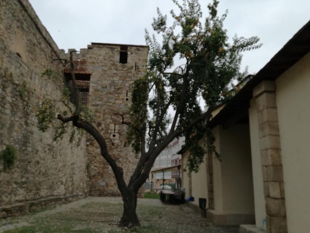 Kroospruim bij castella Ponferrada