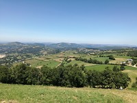 IMG_20190719_143942