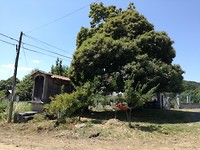 IMG_20190721_145956
