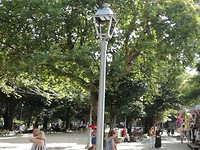 IMG_20190723_185044