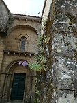 Muur begroeiing op Convent Sta Maria do Sar in Rio Sar